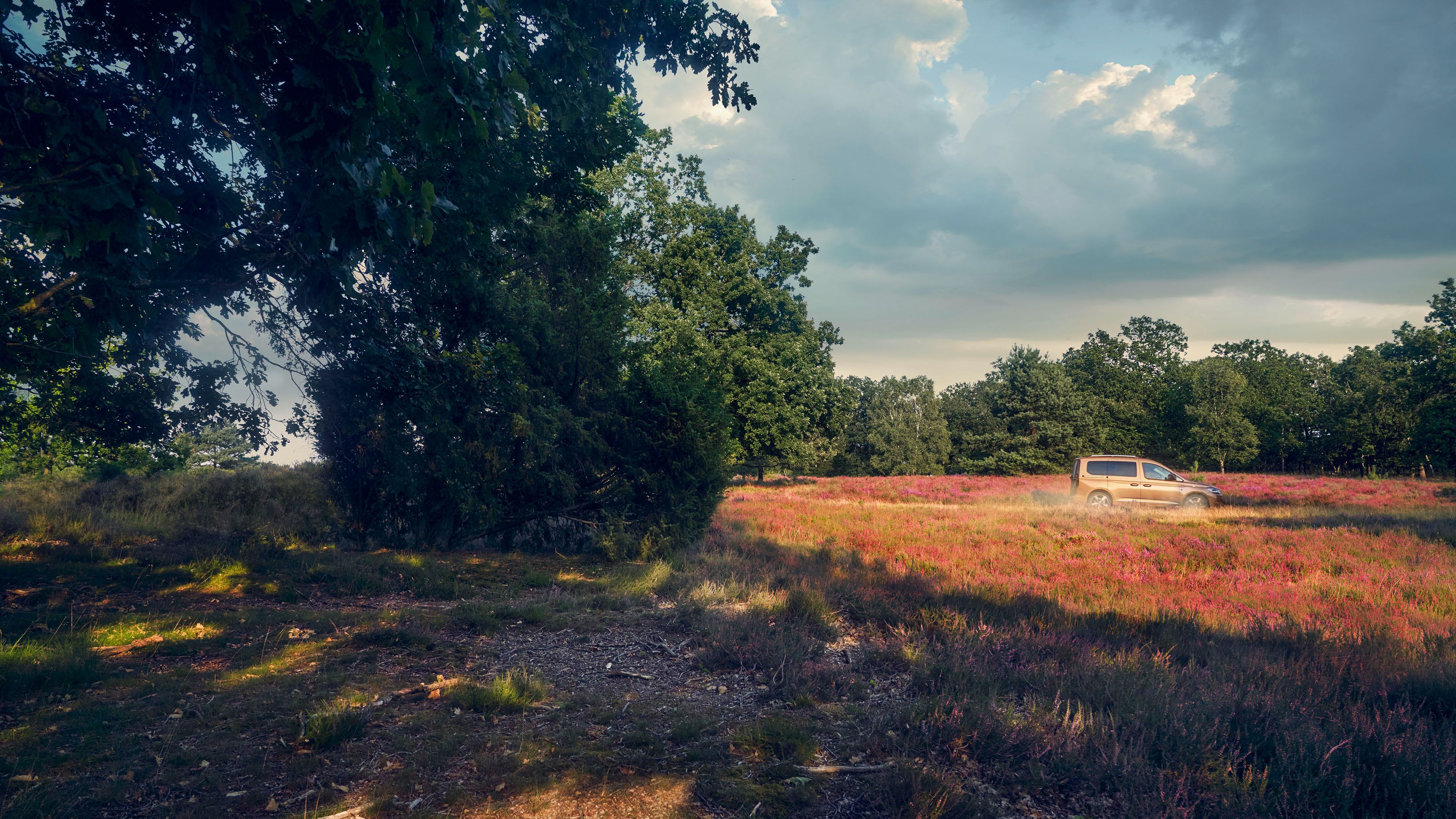 Ein VW Caddy fährt auf einer Landstraße in der Natur.